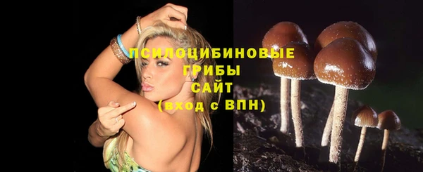 spice Зеленокумск